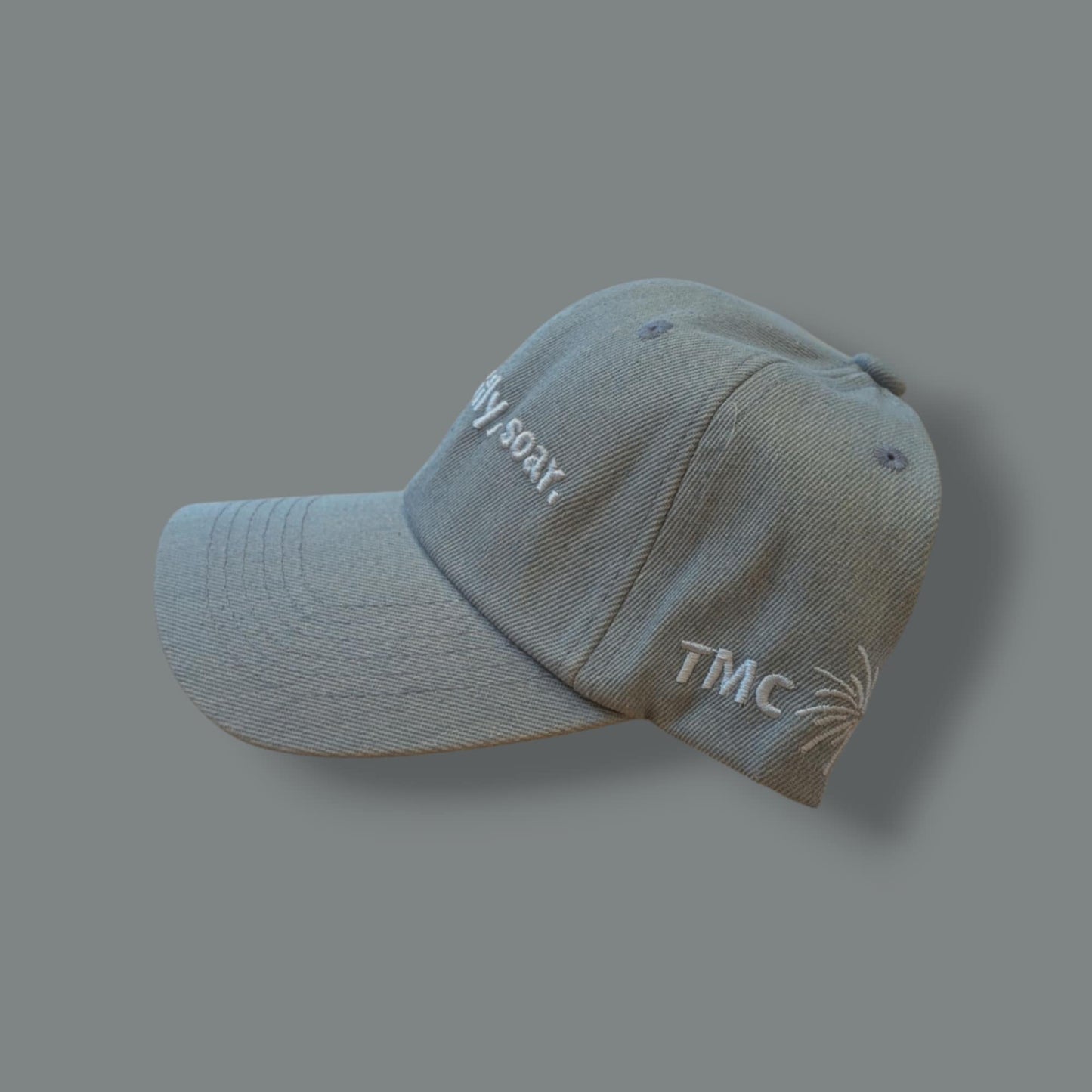 DON'T JUST FLY, SOAR HAT
