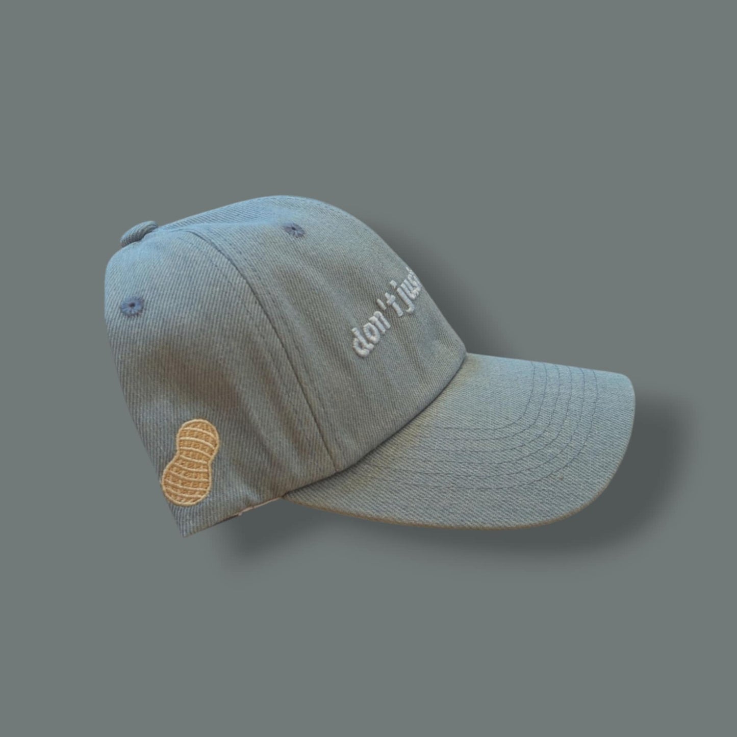 DON'T JUST FLY, SOAR HAT