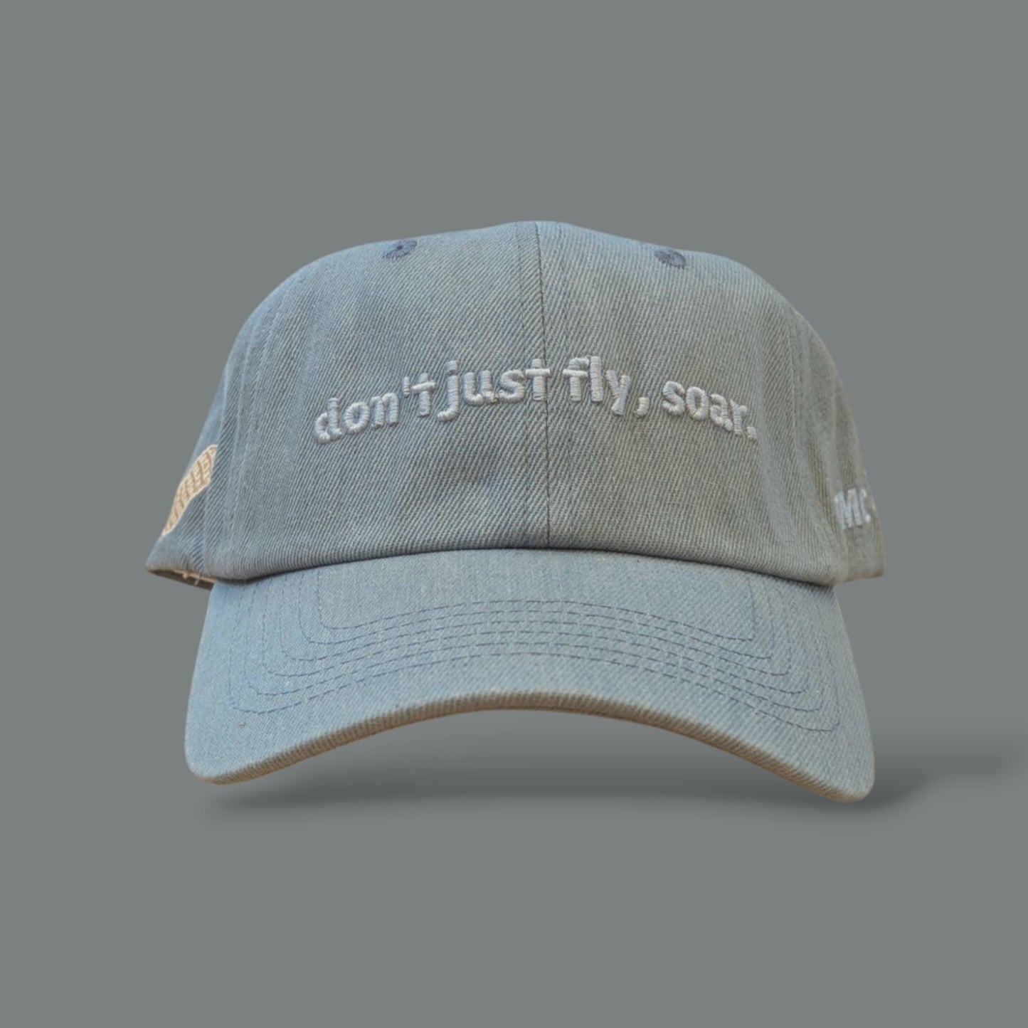 DON'T JUST FLY, SOAR HAT