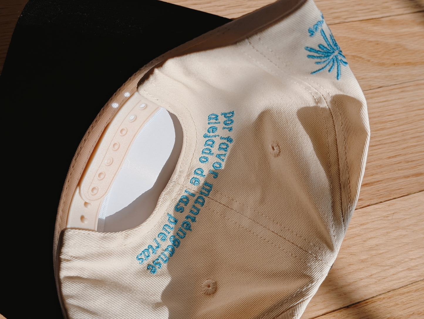 PLEASE STAND CLEAR OF THE DOORS HAT