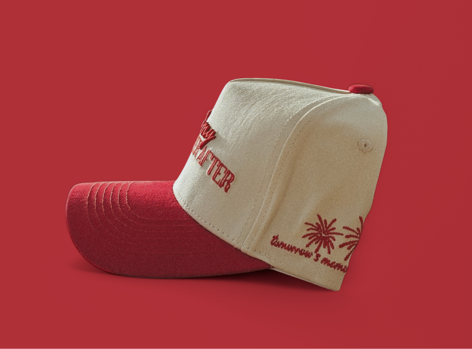 WITH MY HAPPILY EVER AFTER HAT