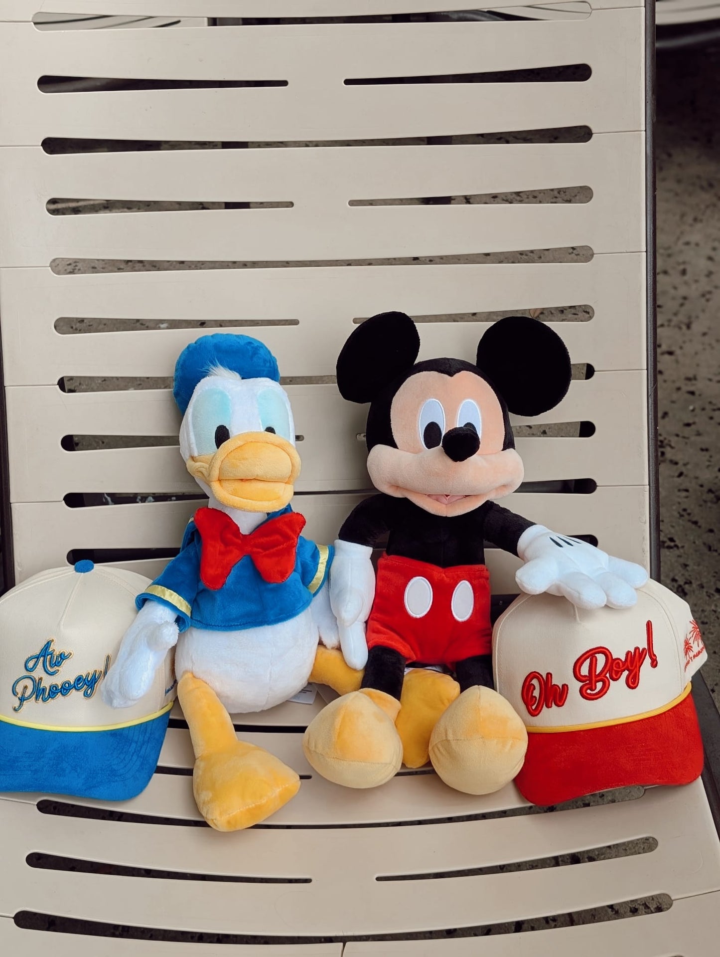 CLUBHOUSE COLLECTION - Aw Phooey!