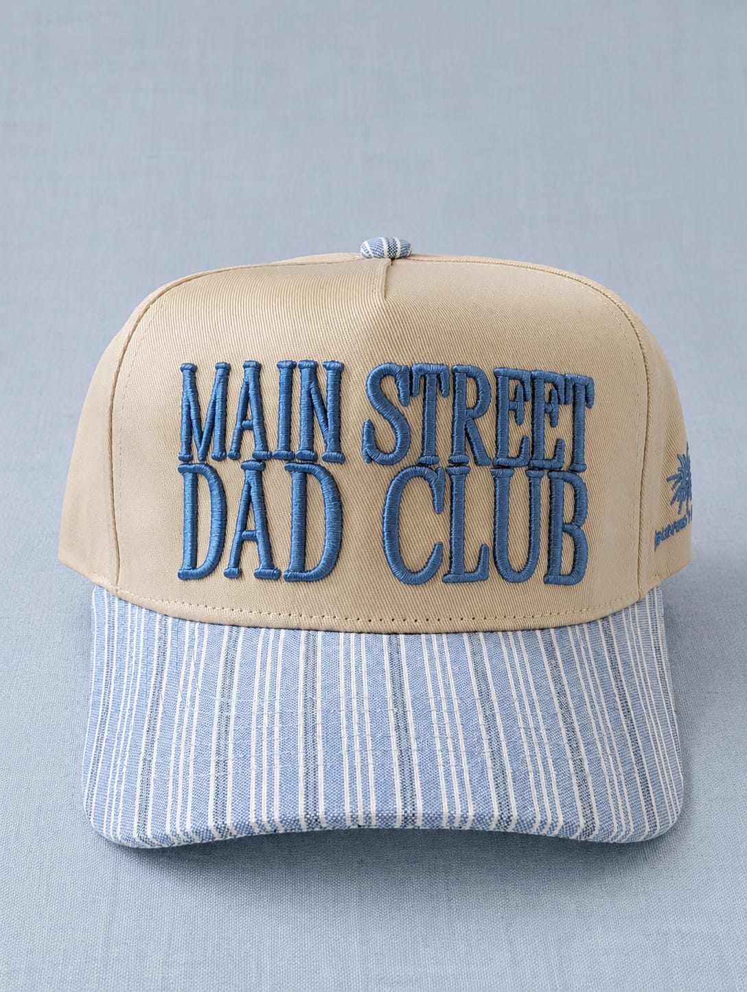 MAIN STREET DAD CLUB HAT