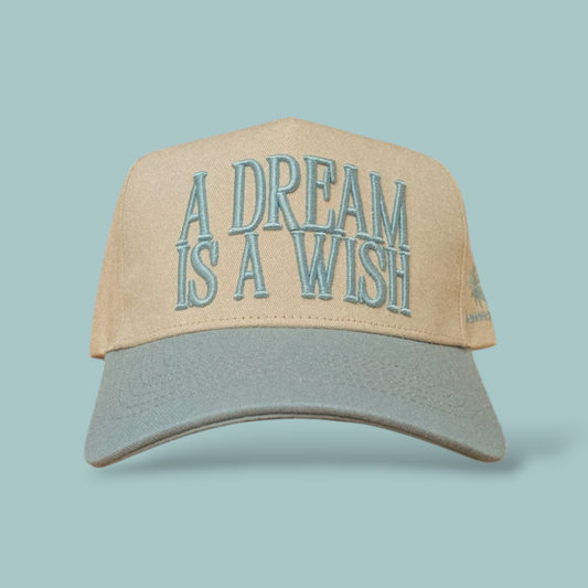 A DREAM IS A WISH HAT